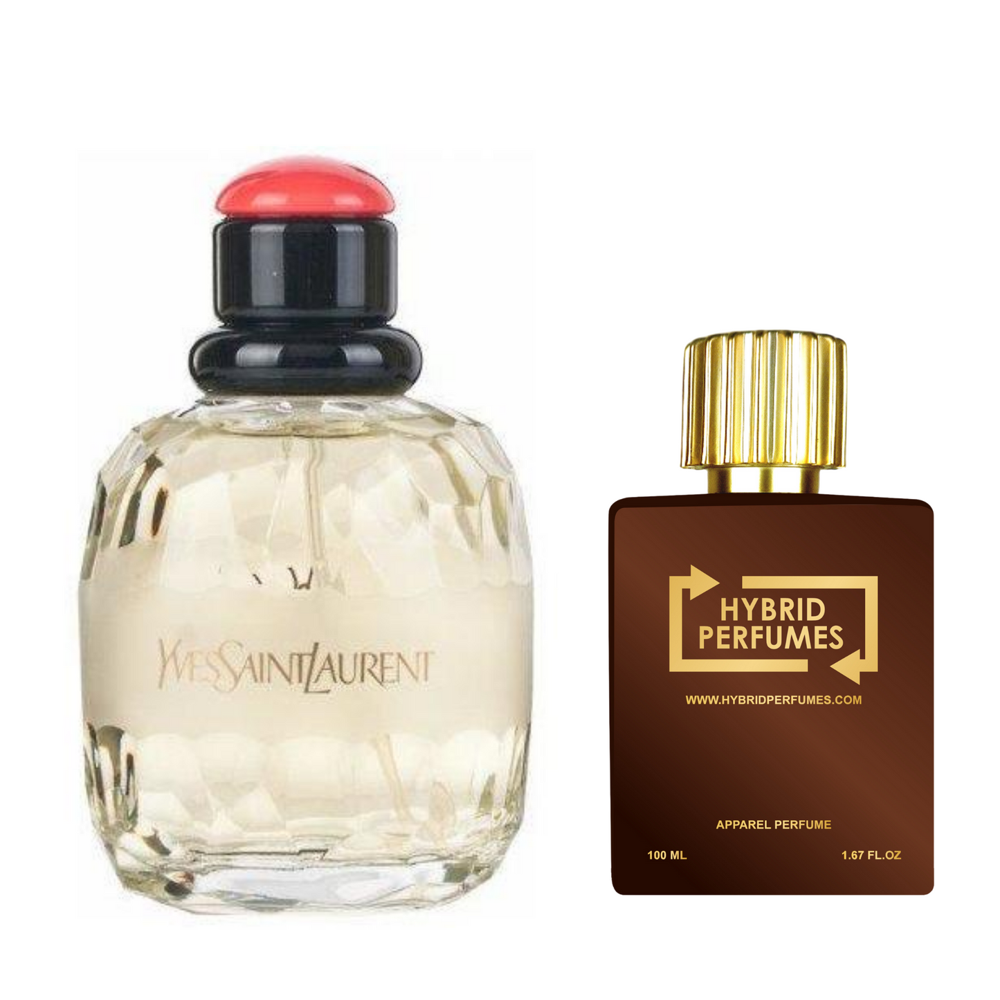 YSL Paris