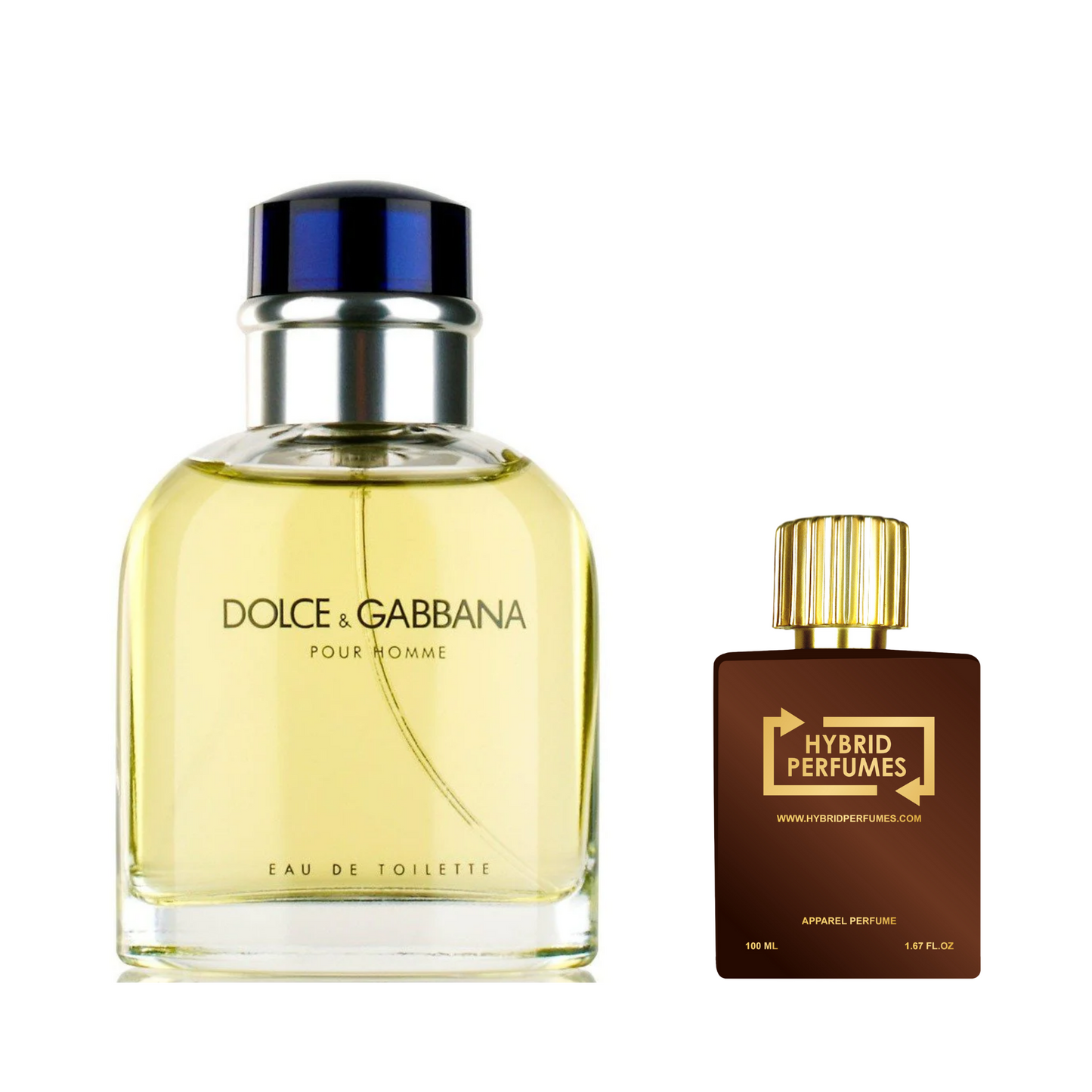 Dolce and Gabbana Pour Homme